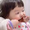 小团子觅食记