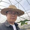 山东本杜官方账号