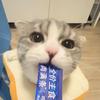 李雪饼