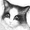 海猫hailongliuart