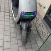 专注九牛核精品