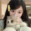 小孙老师国本咨询