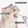 君寒