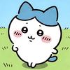 蓝耳八分甜