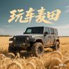 玩车麦田