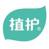 植护植纯洗护清洁专卖店洗衣凝珠