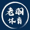 老羽体育杂谈