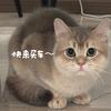 众驰胖妹儿