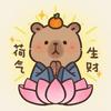 秋秋元宝
