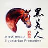 黑美人马术