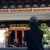 @小L爱种植