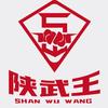 陕武搏击散打队主体号