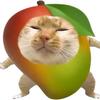 芒果猫