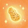 世界上不能没有花生（穿戴甲版