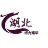柯力耀华地磅配件