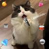 怡怡1ど⁰̷̴͈꒨⁰̷̴͈ う♡