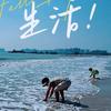 韦斯利·宝