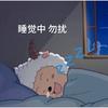 躺平听历史💤（助眠版）