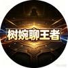 树婉聊王者