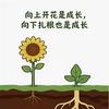 （升学规划）刘老师