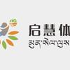 西藏山南启慧体育