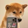 小苏在鹏城