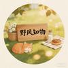 野风知物