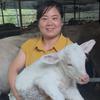 养牛人大婷子