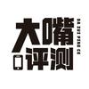 大嘴评测