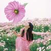 芝士小方