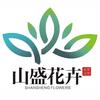 山盛花卉
