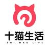 十猫·艺术严选