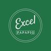 猪爸爸学Excel