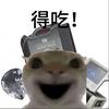 小马跑刀（三角洲行动）
