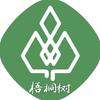 梧桐树教育
