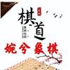 婉兮象棋