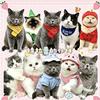 特拉普是只猫吖！