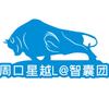 周口星越L@智囊团