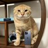 小耄教你用iPhone