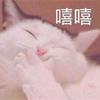 风潇潇