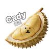 Cady驱动（DKS定制看主页）
