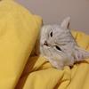 by-Autumn-