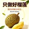 只做好榴莲(烟台同城小时达店)扫地机器人