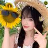 向日葵🌻-炬光✨