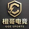 橙哥无畏契约账号