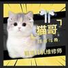 耳机维修师猫哥