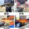南方鱼苗养殖场