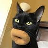 黑猫警长