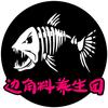 爱鱼鱼的孙漂亮