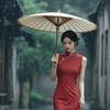 观阅文造（素手调香）